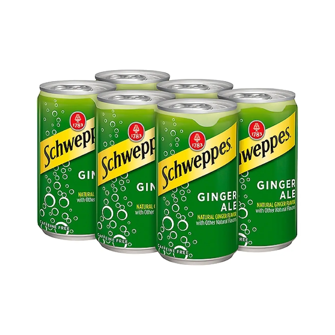 Schweppes - Ginger Ale - Image 4