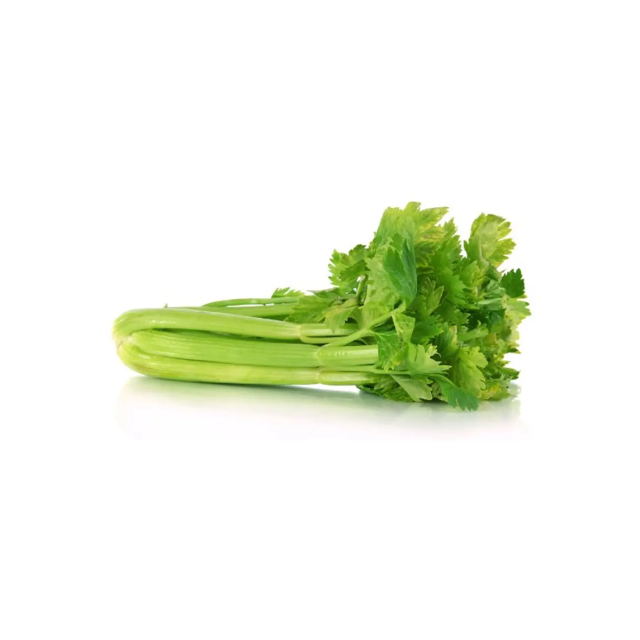 Celery