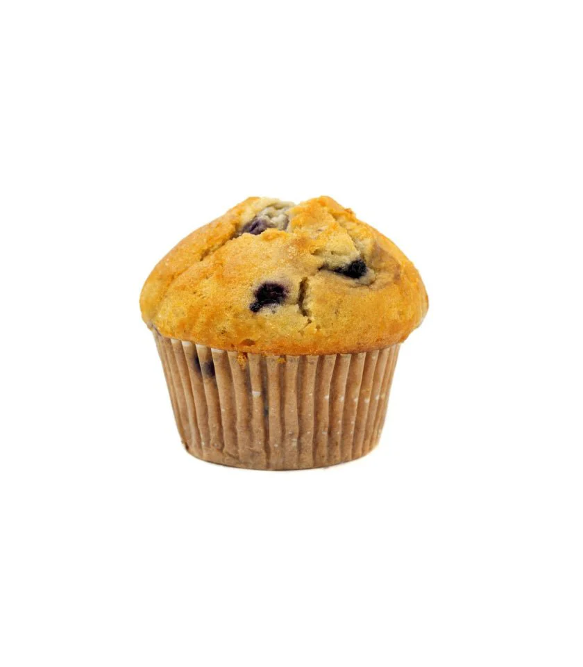 Muffin - Image 4