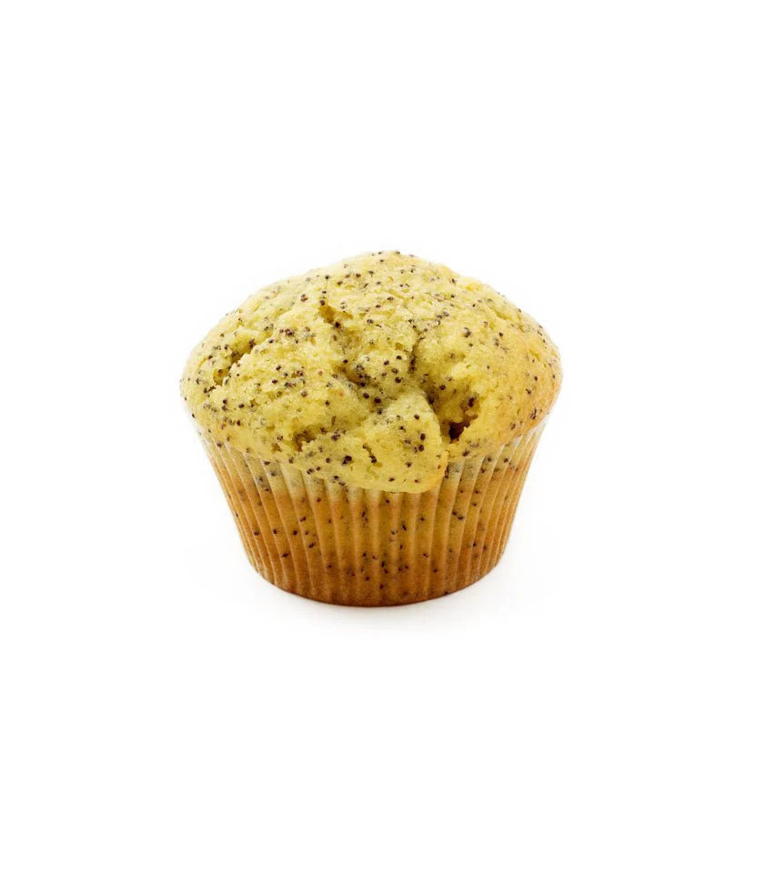 Muffin - Image 5
